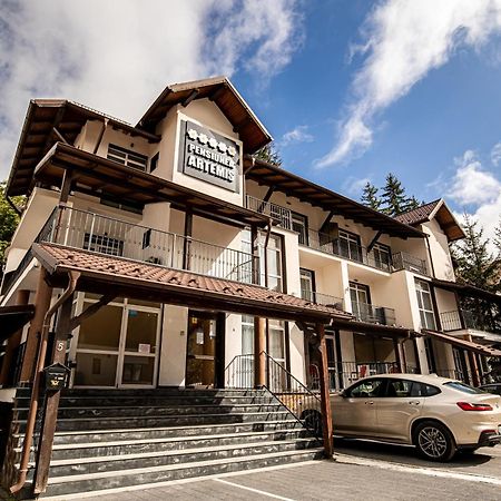 Artemis Villa Poiana Brasov Ngoại thất bức ảnh
