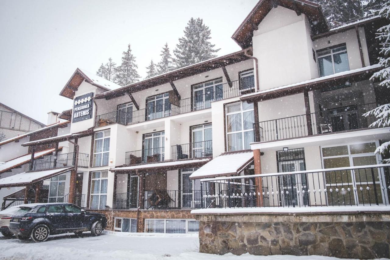 Artemis Villa Poiana Brasov Ngoại thất bức ảnh