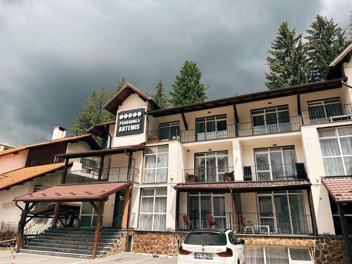 Artemis Villa Poiana Brasov Ngoại thất bức ảnh