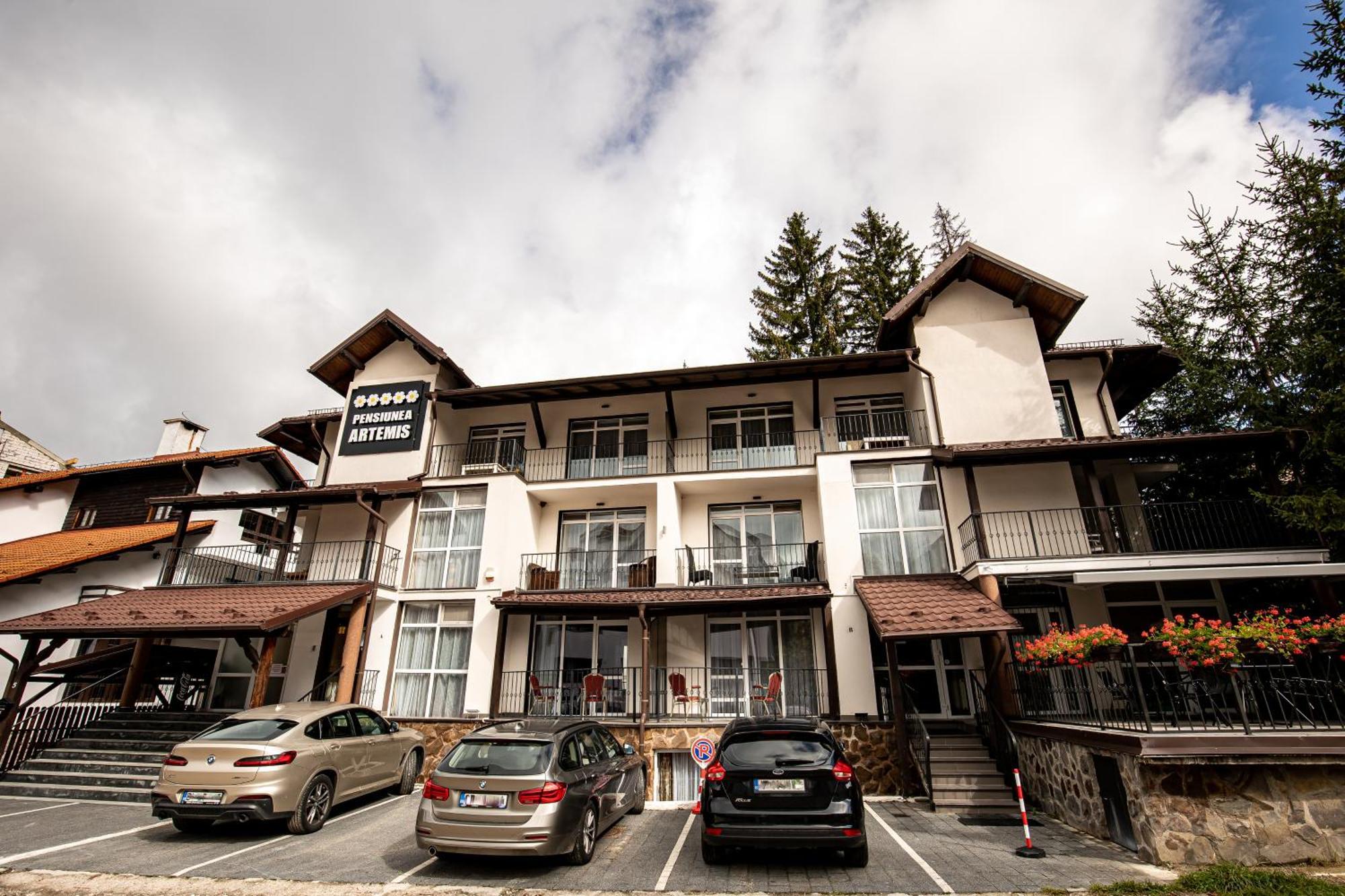Artemis Villa Poiana Brasov Ngoại thất bức ảnh