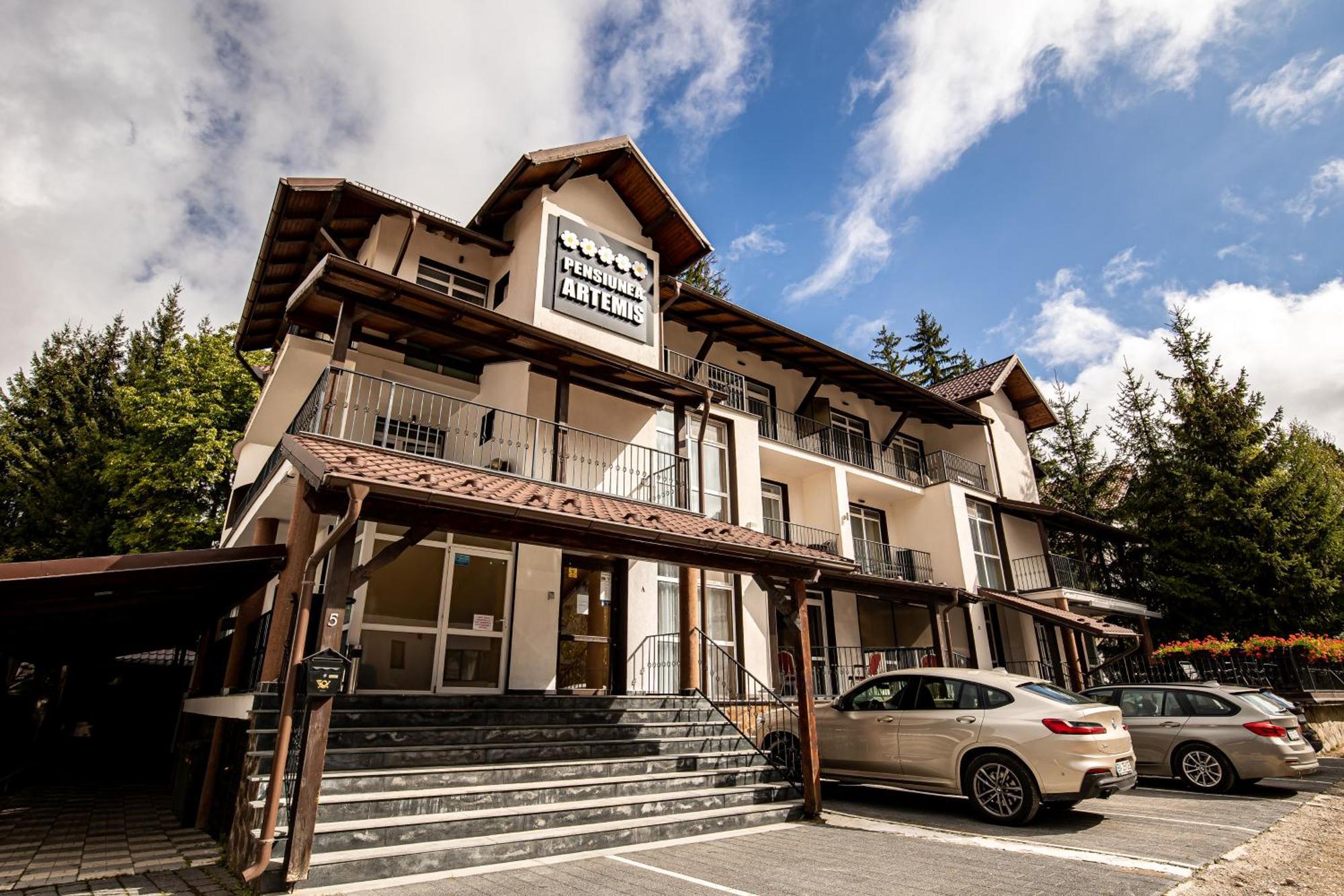 Artemis Villa Poiana Brasov Ngoại thất bức ảnh