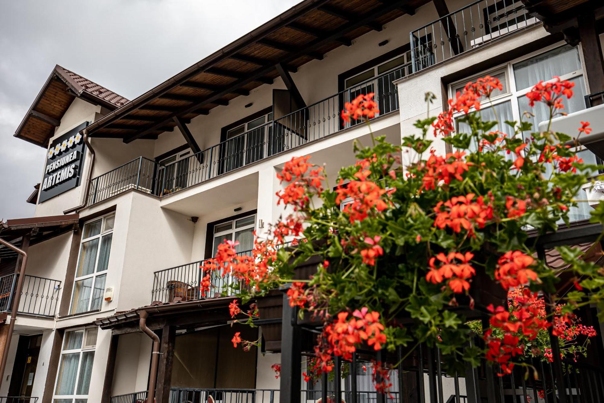 Artemis Villa Poiana Brasov Ngoại thất bức ảnh