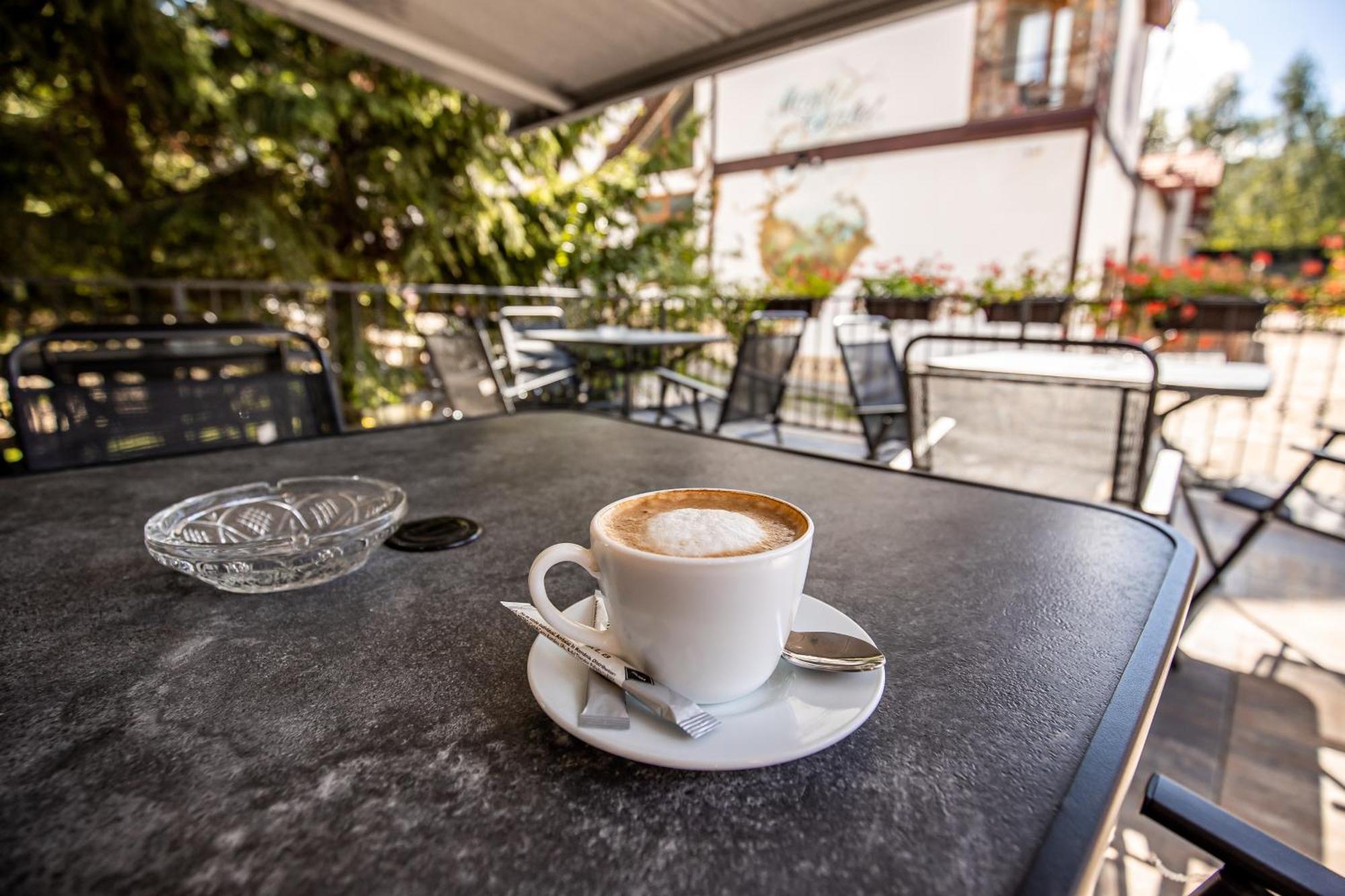 Artemis Villa Poiana Brasov Ngoại thất bức ảnh