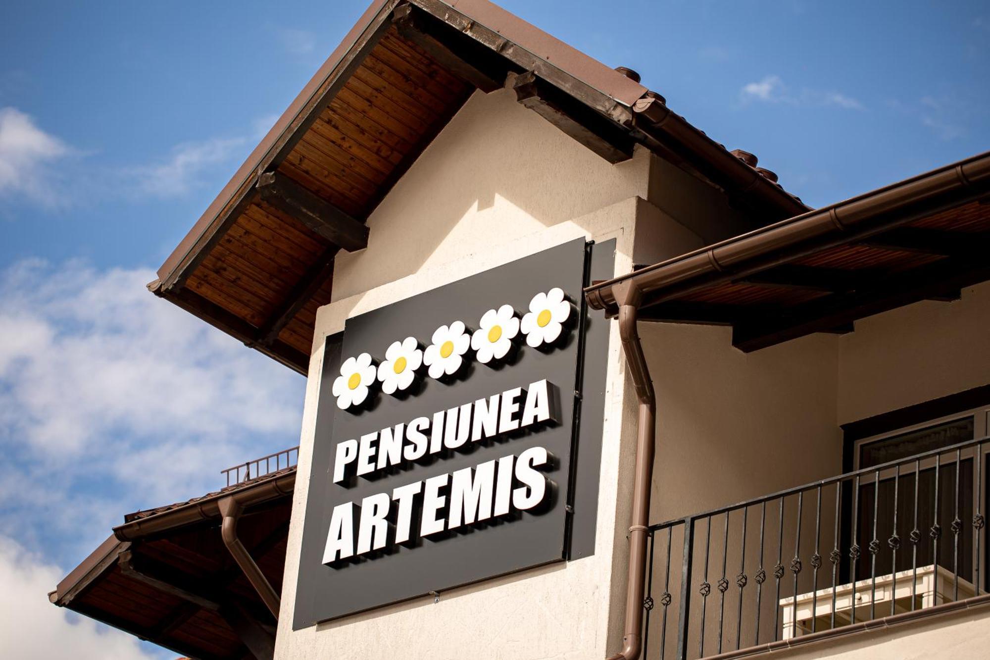 Artemis Villa Poiana Brasov Ngoại thất bức ảnh