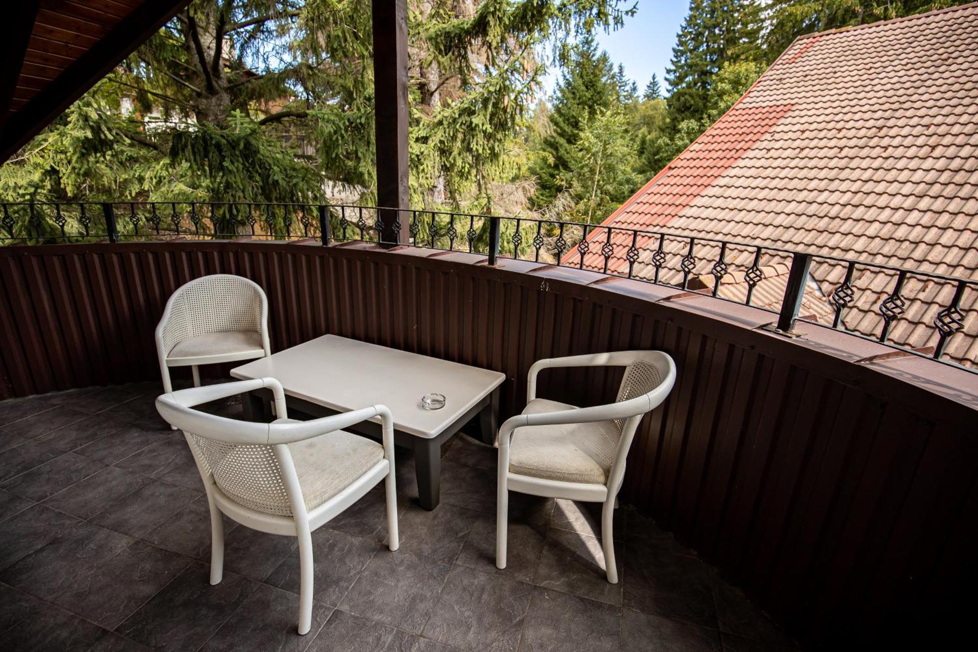 Artemis Villa Poiana Brasov Ngoại thất bức ảnh