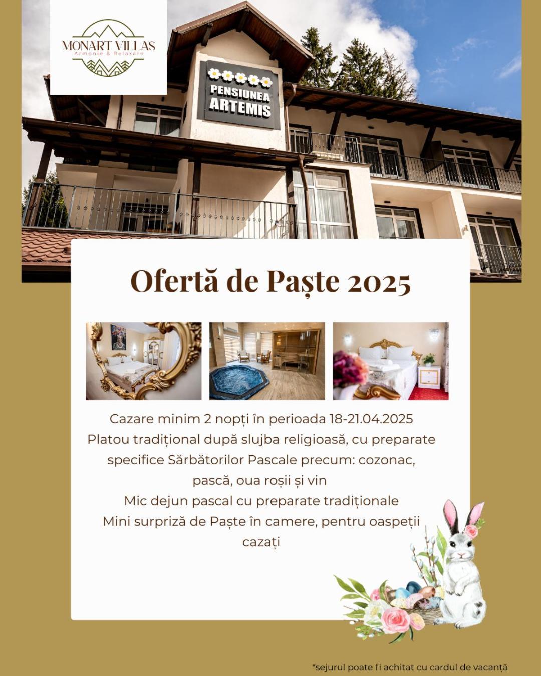 Artemis Villa Poiana Brasov Ngoại thất bức ảnh